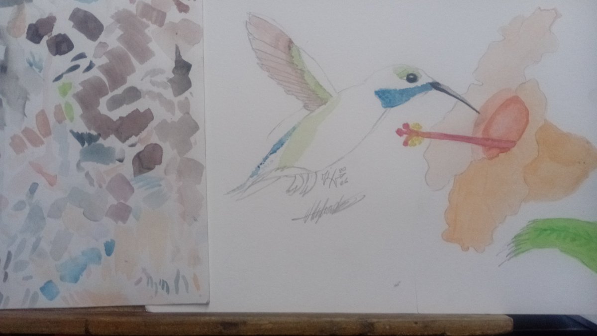 zixv65's tweet photo. Hi everyone, I started making a birthday present for my mom. She loves hummingbirds, so I came up with the idea. I'll finish it this week. #ArtistOnX #watercolors #TraditionalWork https://t.co/Rq7FCdMe5M