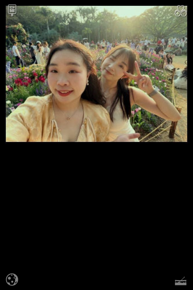 hisyamhasrin's tweet photo. The lilac shrubs remained in full flower, their fragrance lingering in the breeze, and Clara inhaled it for the final time, committing it to memory, so she could summon the scent whenever the urban clamor became too much.✨Children's storybook fair Arranged volumes https://t.co/KUe6wcYuLs