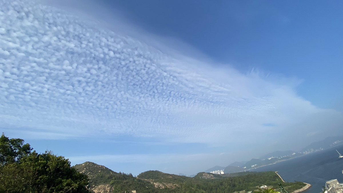 Rogerrogue1234's tweet photo. 天氣好熱，但是都要出去郁吓 https://t.co/75N5zuIP6c