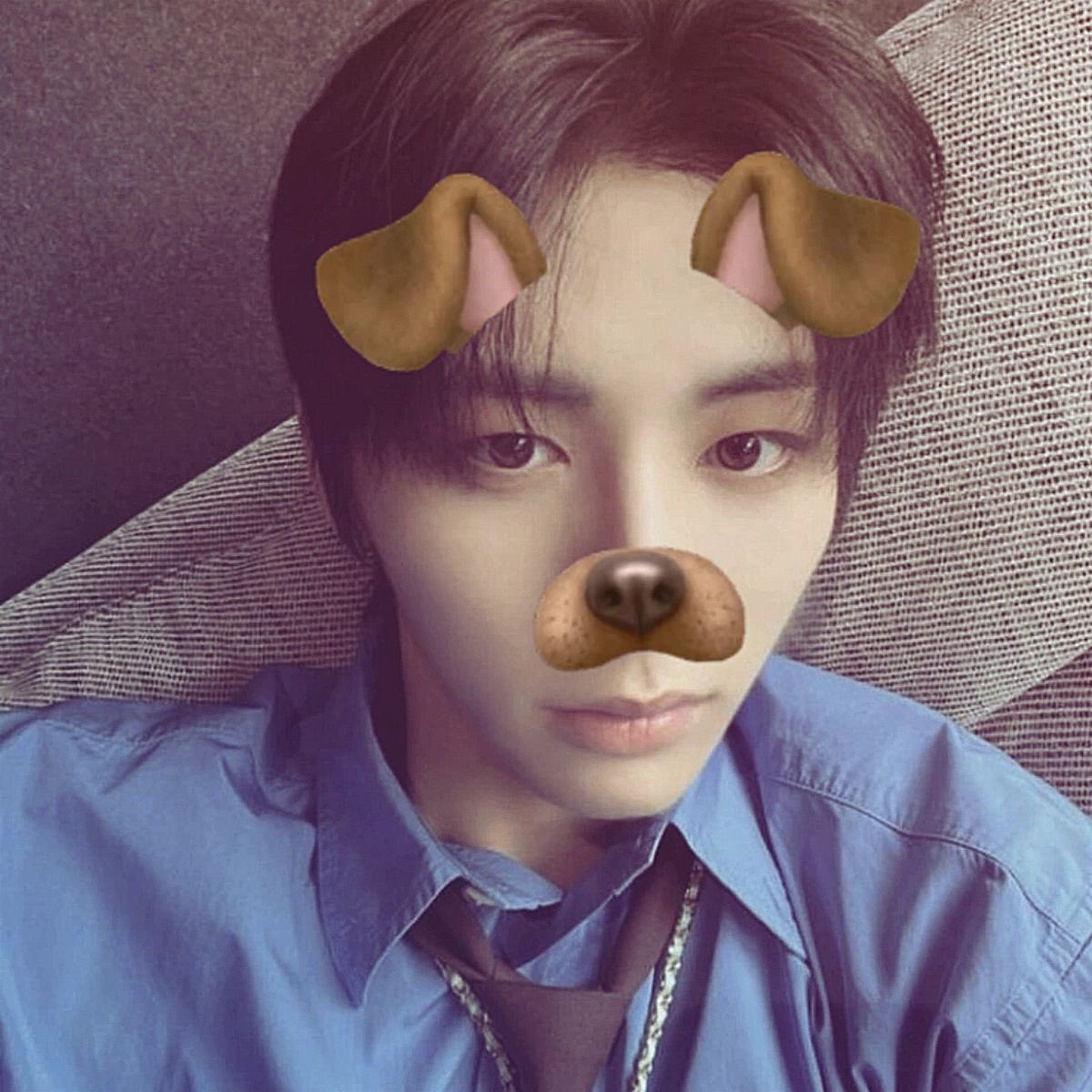 liiotty__'s tweet photo. 태산이가 강아지라는 설을 믿으시나요? https://t.co/vEMsNKiqNx