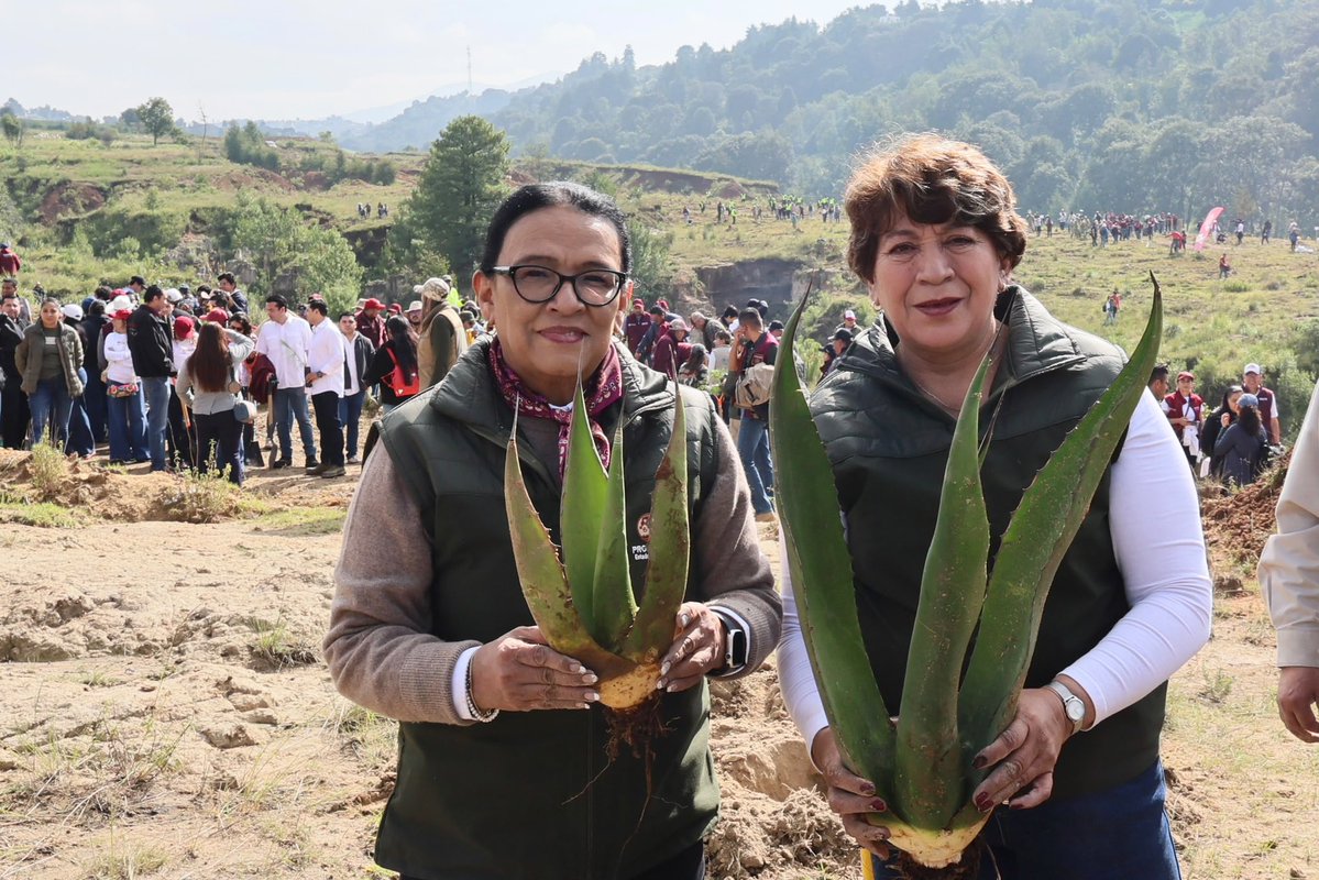 rosaicela_'s tweet photo. Desde el Paraje “La Cañada”, en #Temoaya, #Edomex, junto con la gobernadora @delfinagomeza y numerosos y entusiastas mexiquenses, arrancamos esta mañana las acciones de la #JornadaNacionalDeReforestación convocada por la Presidenta @Claudiashein. Unimos esfuerzos para recuperar los ecosistemas de la entidad y de todo #México. 🇲🇽 🌲 🌳@SEMARNAT_mx @Agricultura_mex @bienestarmx @semvidamx @Defensamx1 @SEMAR_mx @CONAFOR