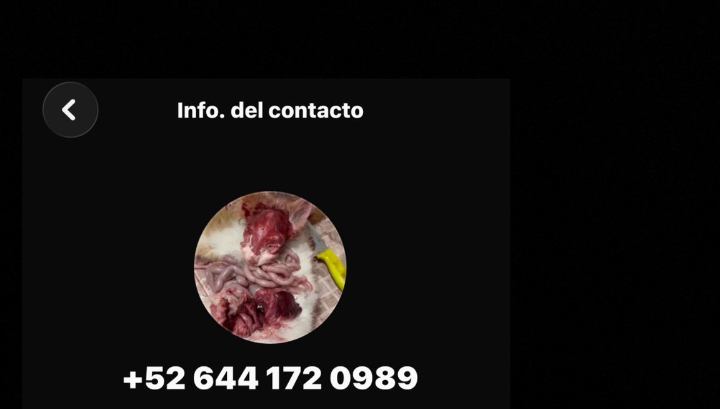 Funasdetodo's tweet photo. este número mató a su gato y lo tiene de foto de perfil y hace nopor de niños, "me exitan los niños" esa fueron sus palabras cuando le dijieron que solo eran niños!! 
Porfavor denuncien y pasen su número a muchas personas! https://t.co/lt9k2B4okx