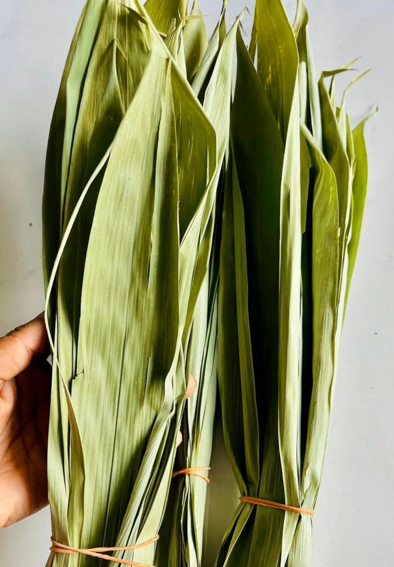 HerbalistHenry_'s tweet photo. BAMBOO LEAVES 🍃

TREATS ⬇️ 

[1] Varicose Veins [1 TSPN | 2x DLY | 8–12 WKS] 
(Vascular wall elasticity support)
[2] Hemorrhoids [1 TSPN | 2x DLY | 4–6 WKS] 
(Astringent & venous relief)
[3] Prostate Inflammation / BPH [1 TSPN | 2x DLY | 8–12 WKS
(Anti-inflammatory & urinary flow)
[4] Hypertension / High Blood Pressure [1 TSPN | 2x DLY | 12+ WKS]  (Vasodilation & arterial tone)
[5] Cardiovascular / Atherosclerosis [1 TSPN | 2x DLY | 12+ WKS] (Endothelial protection)
[6] High Cholesterol (Hyperlipidemia) [1 TSPN | 2x DLY | 8–12 WKS] (Lipid-lowering polyphenols)
[7] Chronic Inflammation [1 TSPN | 2x DLY |
(Systemic antioxidant support)
[8] Gastritis & Stomach Ulcers [1 TSPN | 2x DLY | 4–6 WKS] (Mucosal lining protection)
[9] H. Pylori Adjunctive Support [1 TSPN | 2x DLY | 4–6 WKS] (Symptom relief & gut soothing)
[10] Varicocele Symptom Management [1 TSPN | 2x DLY | 8–12 WKS] (Microvascular circulation support)
[11] Bacterial / Microbial Infections [1 TSPN | 3x DLY | 2–3 WKS] (Mild antimicrobial activity)
[12] Type 2 Diabetes / High Blood Sugar [1 TSPN | 2x DLY | 12+ WKS] (Glycemic control support)
[13] Osteoporosis / Low Bone Density [1 TSPN | 1–2x DLY | 6+ MOS] (High bioavailable silica content)
[14] Osteoarthritis & Joint Pain [1 TSPN | 2x DLY | 8–12 WKS] (Connective tissue & joint support)
[15] Gout / High Uric Acid [1 TSPN | 2x DLY | 4–8 WKS] (Diuretic uric acid clearance)
[16] Non-Alcoholic Fatty Liver (NAFLD) [1 TSPN | 2x DLY | 8–12 WKS] (Hepatoprotective flavonoids)
[17] Hair Thinning & Loss [1 TSPN | 1x DLY | 3–6 MOS] (Silica-driven keratin synthesis)
[18] Brittle Nails [1 TSPN | 1x DLY | 2–3 MOS] (Structural mineral reinforcement)
[19] Skin Aging / Loss of Collagen [1 TSPN | 1–2x DLY  (Collagen synthesis support)
[20] Urinary Tract Inflammation (Cystitis) [1 TSPN | 3x DLY | 1–2 WKS] (Flushing & diuretic action)
[21] Edema / Fluid Retention [1 TSPN | 2x DLY | 2–4 WKS] (Mild natural diuretic)
[22] Bronchial Congestion & Cough [1 TSPN | 2–3x DLY | 1–2 WKS] (Expectorant properties)
[23] Fever / Internal Heat [1 TSPN | 3x DLY | 3–5 DAYS] (Antipyretic cooling effect)
[24] Oxidative Stress / Cellular Damage [1 TSPN | 1–2x DLY 
[25] Slow Metabolism / Weight Management [1 TSPN | 2x DLY | 12+ WKS] (Metabolic support)
[26] Gingivitis & Oral Inflammation [1 TSPN | 2x DLY | 2–4 WKS] (Gargle or drink for oral bacteria)
[27] Mild Anxiety & Restlessness [1 TSPN | 1x DLY (Night) | 4–6 WKS] (Calming neuro-protective effect)
[28] Dysmenorrhea / Menstrual Cramps [1 TSPN | 2x DLY | 1 WK Prior/During] (Spasmolytic action)
[29] Poor Peripheral Circulation [1 TSPN | 2x DLY | 8–12 WKS] (Micro-vascular flow)
[30] Immune Dysfunction [1 TSPN | 1–2x DLY  (Polyphenol immune modulation)

Preparation & Dosage ⬇️ 
Get   BAMBOO LEAVES     in  Bulk, air-dry in a shade away from direct sunlight (in a shade / balcony) then blend bulk to POWDER when 100% dehydrated (Takes a week or Less)

Inside half litre of already boiled water (or quantity of water you can consume at a go),  STEEP / SOAK  The measurement / dosage  of  BAMBOO LEAVES    Powder associated with the illness you're treating above.  COVER  it and allow infuse for  10 - 20  minutes or until warm enough to drink. 
DO NOT COOK IT!
Filter / Sieve & drink whole liquid extract.
Do this DAILY for the specified number of times & timeframe associated with the illness you intend to treat. 

KINDLY  REPOST / SHARE  &  Follow @HerbalistHenry_  on  X (Twitter)  🙏