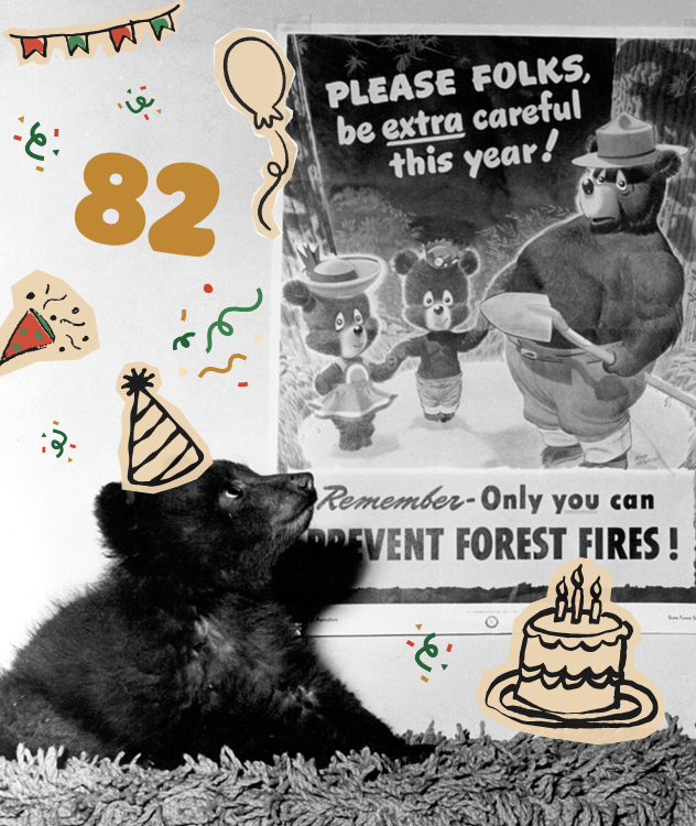 StateForesters's tweet photo. Happy Birthday @smokey_bear Since 1944, the National Association of State Foresters, @forestservice and @AdCouncil have led wildfire prevention efforts through the voice of Smokey Bear. The best birthday gift you can give Smokey is to remember #OnlyYou can prevent wildfires! 🐻🔥 https://t.co/7Y0RfM3WlJ