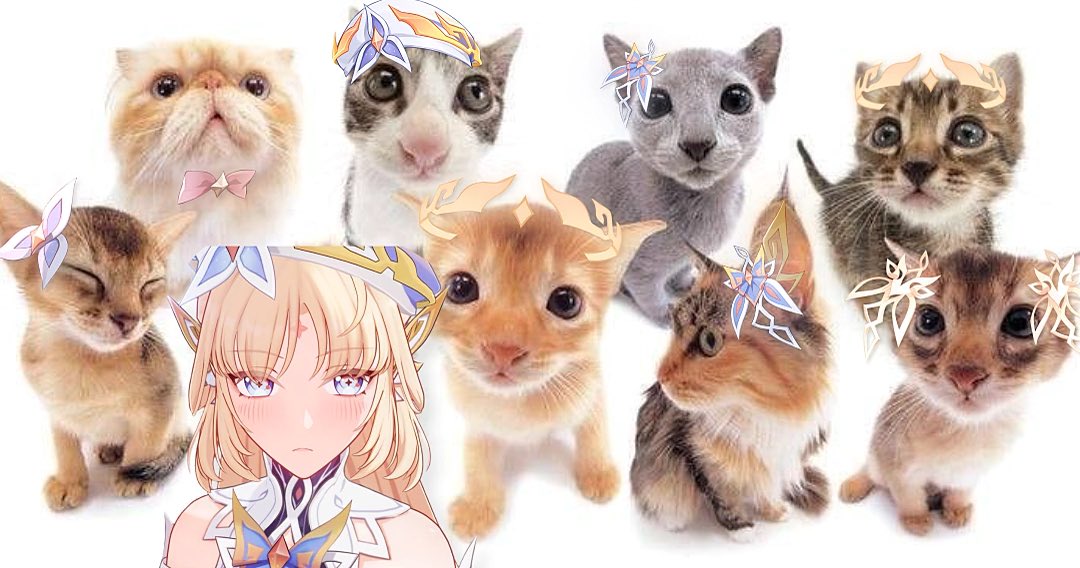nerdynicolie's tweet photo. 🐈ྀི https://t.co/Q100hvaIx3