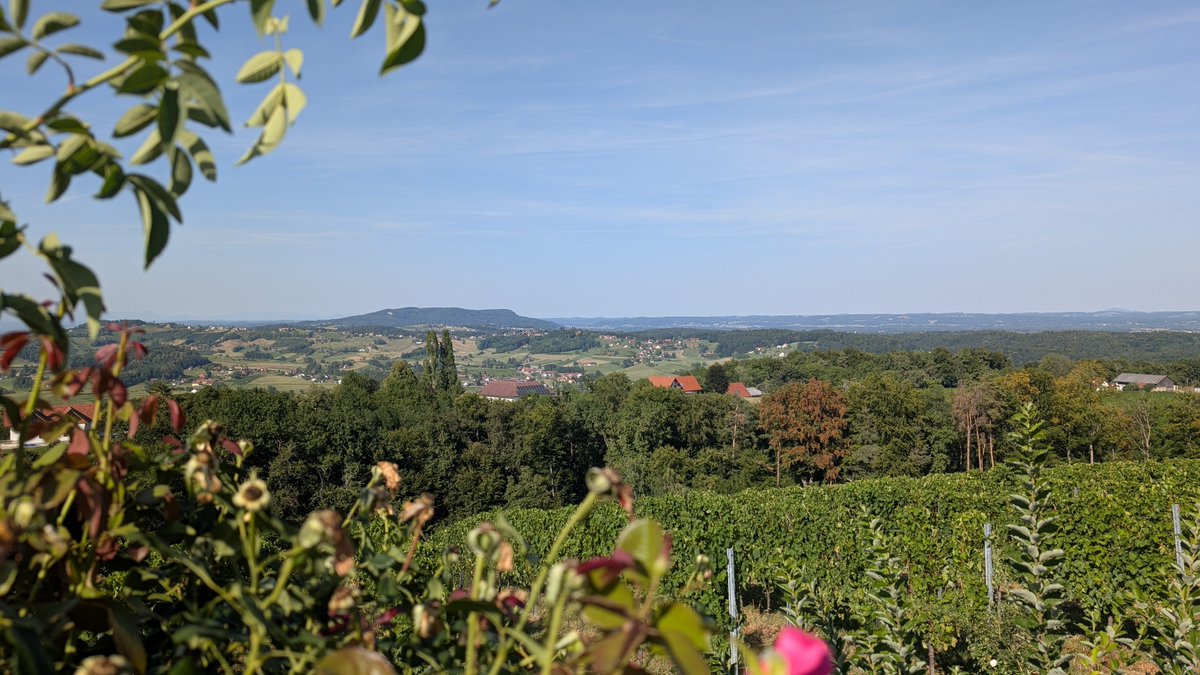 CarFreiTag's tweet photo. Grüße aus dem Buschenschank #daheim https://t.co/bTLAMj7ARK