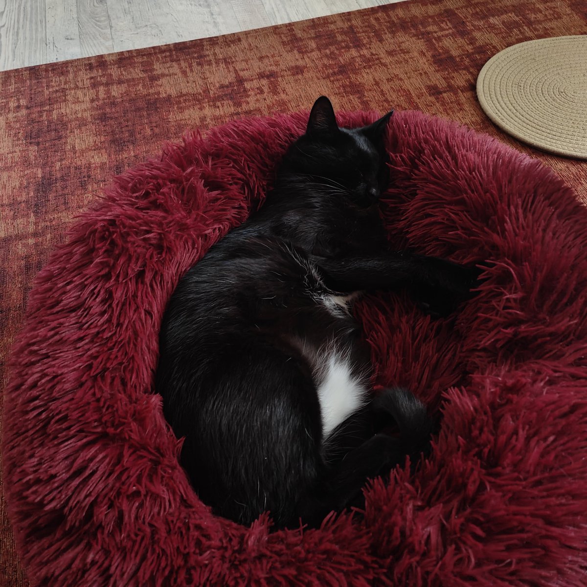 kimschrijft's tweet photo. Chilling... https://t.co/ABGCDFGFyY