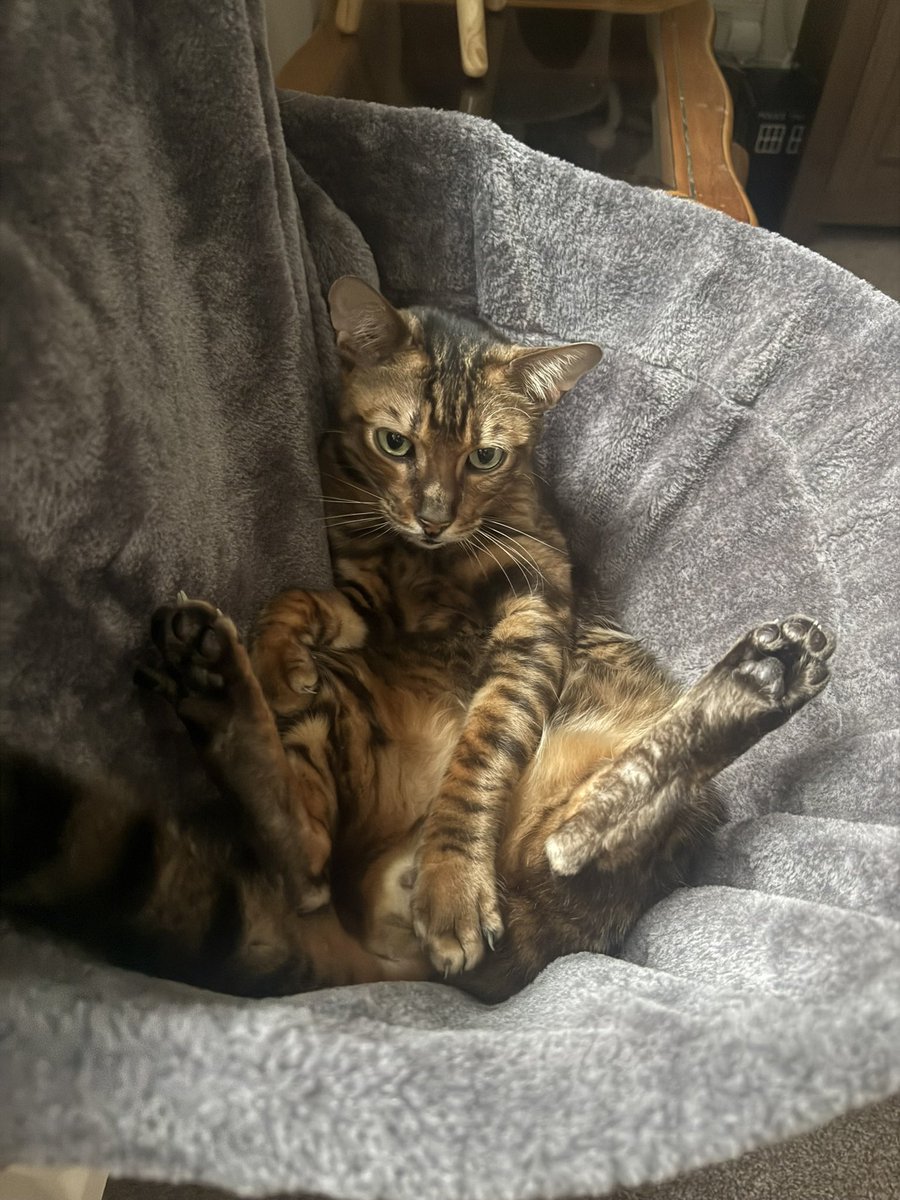staceyjam's tweet photo. @rickygervais Protecting his modesty when mum gets the camera out https://t.co/dHDumJj0Ac