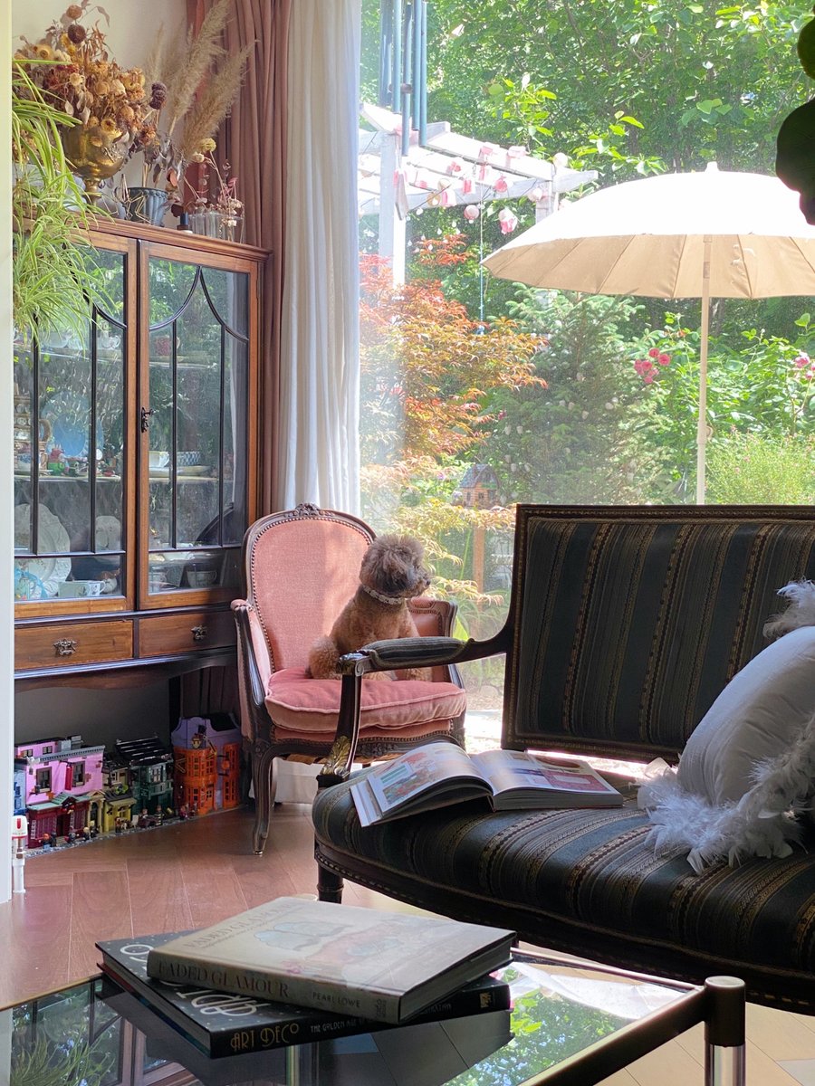 WandaDupon5wma's tweet photo. Just finished folding the fresh laundry that smelled like sunshine—small win for a cozy evening vibe ， https://t.co/6SFlCb2WR4