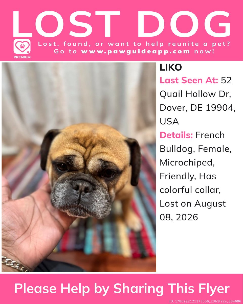 Pawguideapp's tweet photo. Please spread the word! If you have any information, please comment below.
Lost or found a pet? Report it quickly on Paw Guide.#lostdog #missingdog #lostdogindover #lostdogdoverde #missingdogdoverde #lostfrenchbulldogdoverde #lostfrenchbulldog #lostpet #pawguide #frenchbulldog... https://t.co/tBXigkDv3r