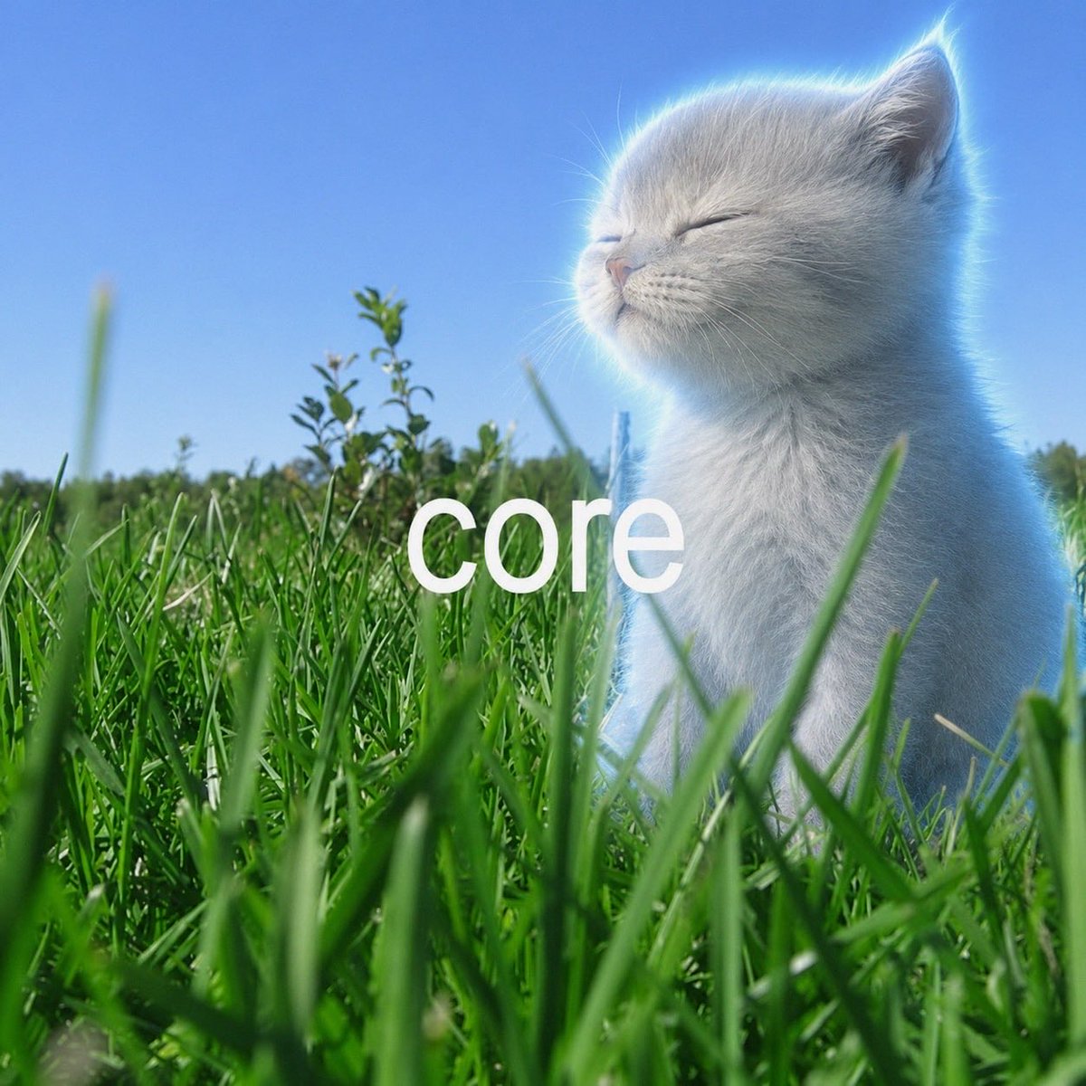 Biaooooooo123's tweet photo. @corecoreonsol $core https://t.co/kYiBQ9TC8O
