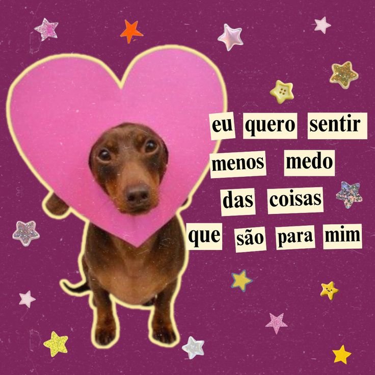 tarot_yas's tweet photo. https://t.co/HDCGZsbNpl