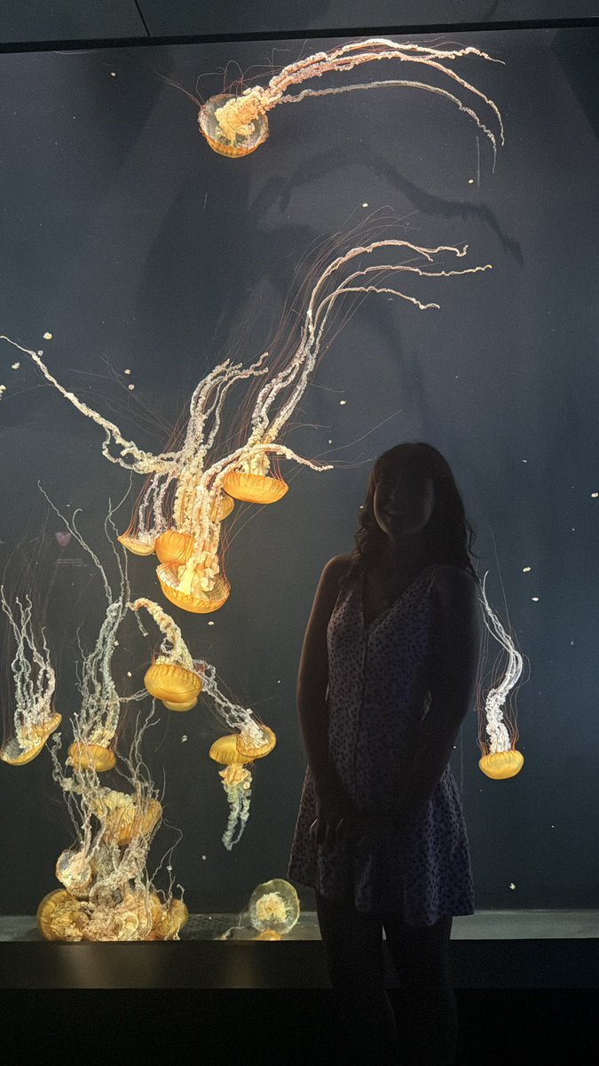 Cahsea's tweet photo. just a girl and her jellies 🪼 https://t.co/qcQ5oG22Zc