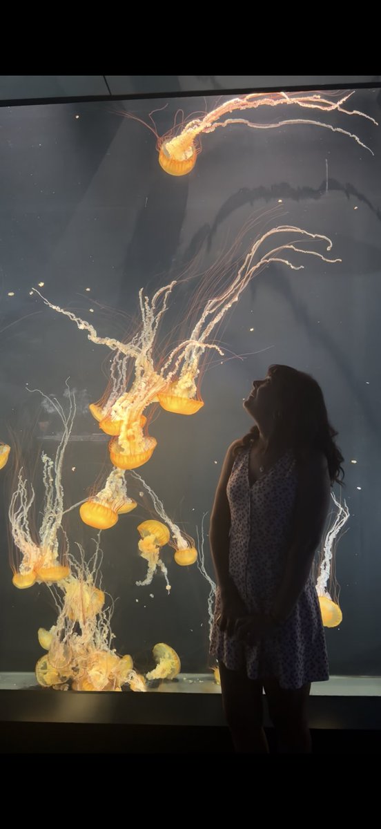 Cahsea's tweet photo. just a girl and her jellies 🪼 https://t.co/qcQ5oG22Zc