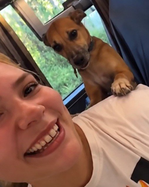 barbie_context's tweet photo. Una familia alquiló un autobús para mudarse de estado y llevarse consigo a sus 18 mascotas, sin dejar a ninguna atrás. https://t.co/Huh8JXABPN
