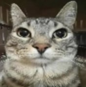 BaijingQ's tweet photo. Well...Who wants to make some friends #friend #Chat https://t.co/sQWzGKoTGU