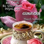 Photo by Bir Ayna (@birayna)