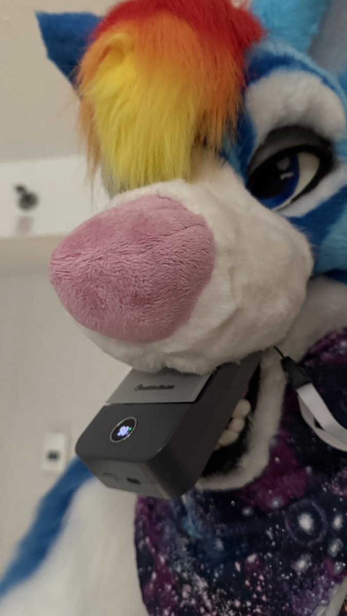 CobaltTheHusky's tweet photo. I had a great time at #Furrydelphia with my friends and @plasmarose15 !

It was my first con what my non-fur friends came with and it could not have been a more notable time and they had a blast checking out the Dealers, the Dance, and just soaking up the atmosphere. <3 https://t.co/6Sf5pGZAOB