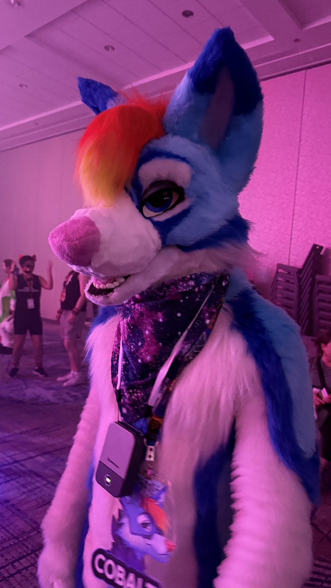 CobaltTheHusky's tweet photo. I had a great time at #Furrydelphia with my friends and @plasmarose15 !

It was my first con what my non-fur friends came with and it could not have been a more notable time and they had a blast checking out the Dealers, the Dance, and just soaking up the atmosphere. <3 https://t.co/6Sf5pGZAOB