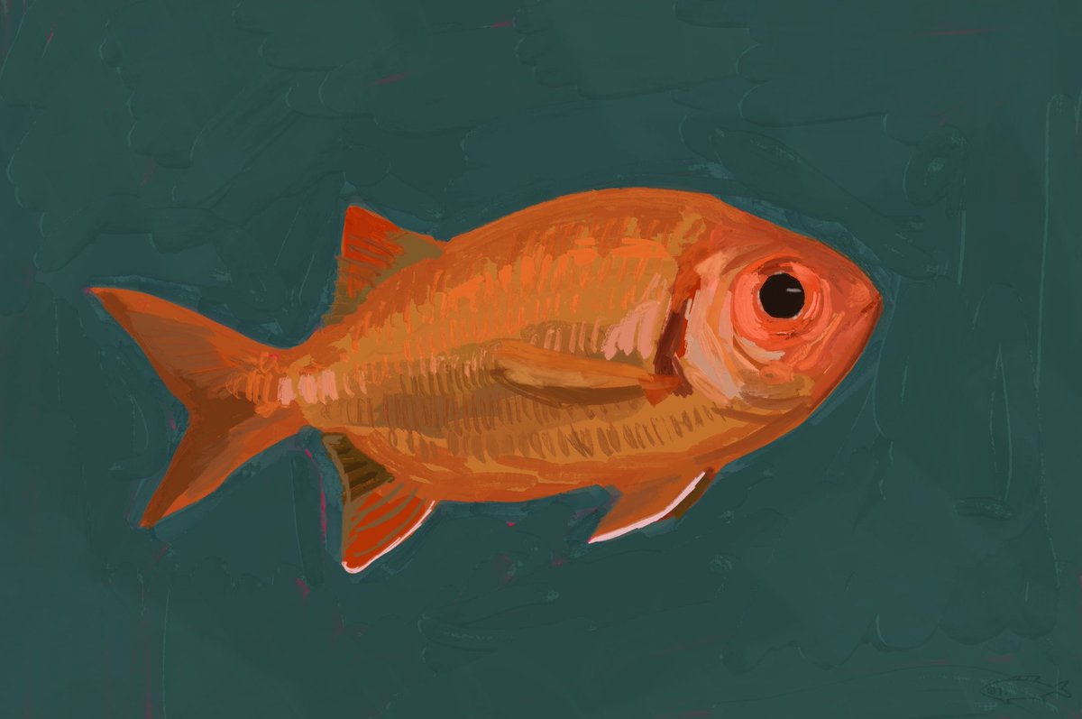 fishsouperr's tweet photo. hi jo i love you . . . soldierfish study for you ๏ฟผ๐
( send me art requests here -> https://t.co/fcKL2iplD7 )
#fish #artstudy #soldierfish https://t.co/UTRlOUFAqZ