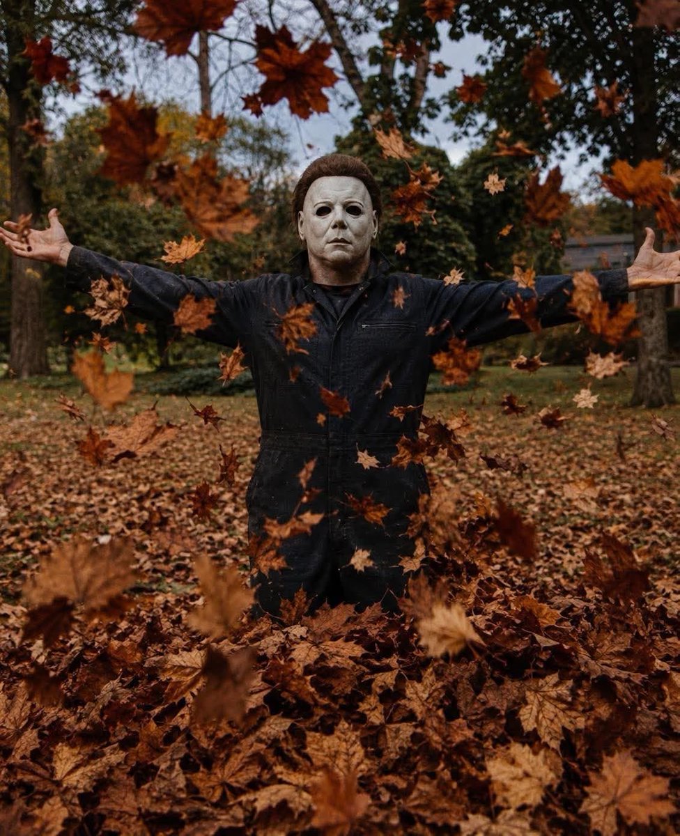 thespookygirll's tweet photo. stay calm dive, halloween is on the way https://t.co/lN5T768Y7O