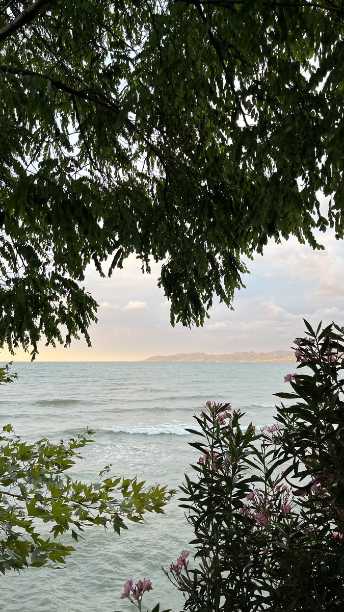 YucelPekaz's tweet photo. Hayâ imandandır. İman ehli ise cennettedir. Hayâsızlık, zulümdendir. Zulüm ehli ise cehennemdedir.

Tirmizî, Birr, 65 https://t.co/W52G7FHKkV