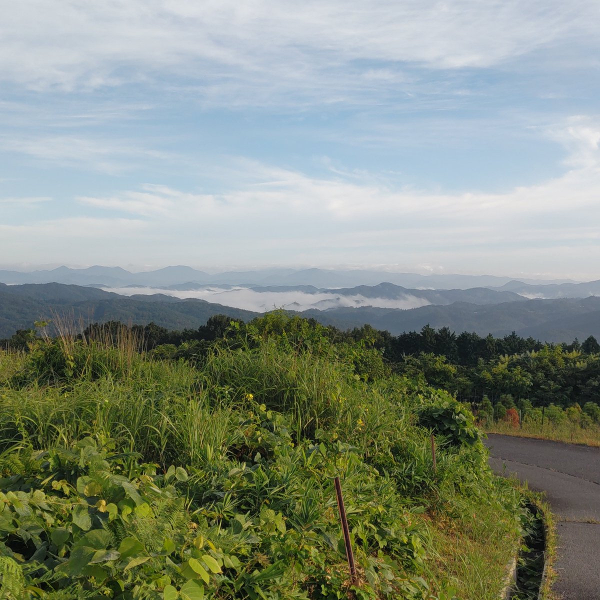 yo23chan's tweet photo. 広島県神石高原町なう。雲海がでてます。雨があがり秋の空気を感じます。 https://t.co/fMzo6yJZ85