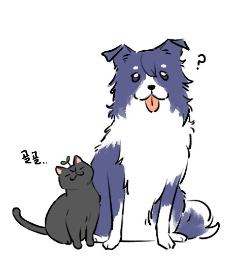 dokidoki_dudu's tweet photo. 멍냥💙🖤 https://t.co/6xVR7bCscW