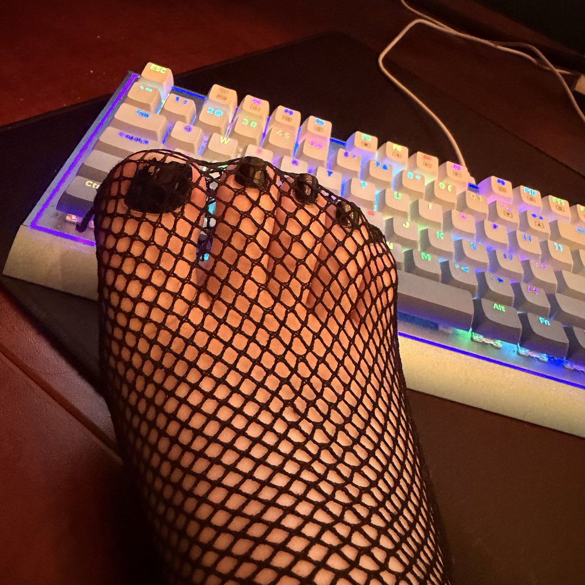 weak_bite's tweet photo. support main behavior https://t.co/MIjzVVsSoY