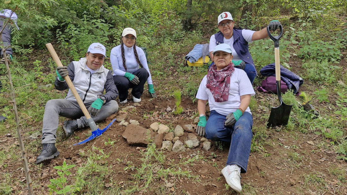 rosaicela_'s tweet photo. Hoy dimos un paso firme para recuperar nuestro patrimonio natural. Servidoras y servidores públicos de @SEGOB_mx, junto a ciudadanos y autoridades del @Edomex, sembramos vida a través de la #JornadaNacionalDeReforestación. 🇲🇽 🌲 🌳@Claudiashein #CésarYañez @arturomedinap @RocioBarcenaM @SEMARNAT_mx @Agricultura_mex @bienestarmx @Defensamx1 @SEMAR_mx @CONAFOR @semvidamx