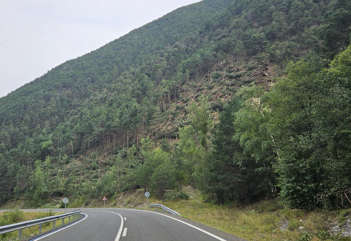 marcdelparc's tweet photo. 🌳⛈️ Espectacular esclafit d’arbres sobre el monument als afusellats de l’Hostal d’Aidí, provocat per la forta tempesta d’ahir dissabte.

Una mostra impressionant de la violència amb què va colpejar el temporal al @pnaltpirineu https://t.co/IfDJVmUZTk