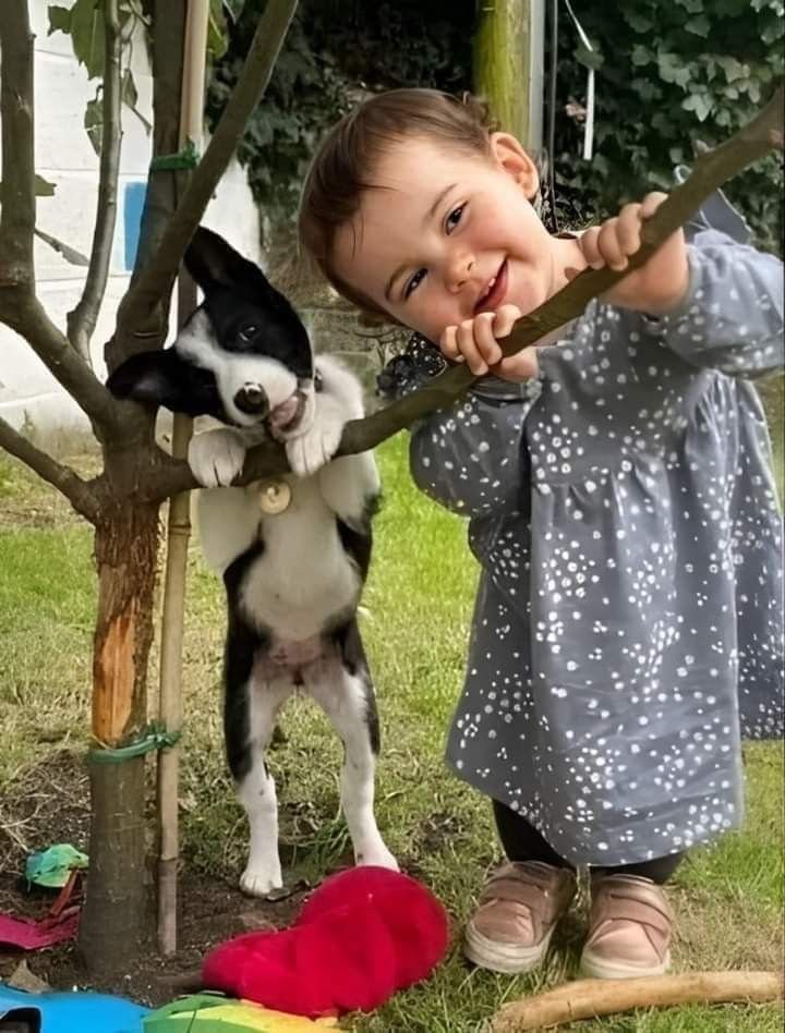Canan_Ertuzun's tweet photo. "Sevmek, 
Gönül almak, 
İnce düşünmek, 
Güzel konuşmak, 
Halden anlamak, 
Düşeni kaldırmak, 
Ağlayanı güldürmek...
Hep bedava biliyor musunuz?"

Farid Farjad https://t.co/Qj3E4IEMWd