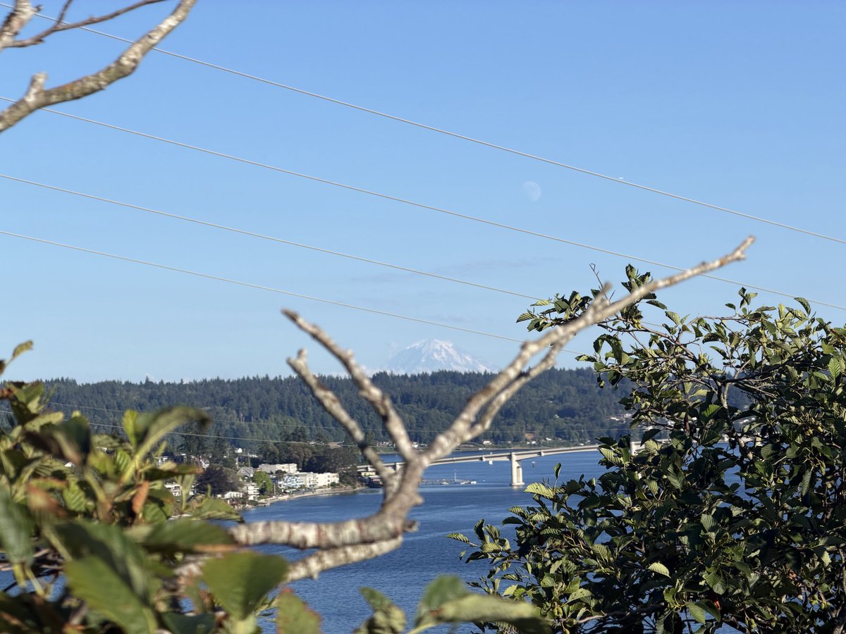 Jreliiii's tweet photo. Wa state is beautiful mane, ts so healing https://t.co/UXJ2FuvuvX