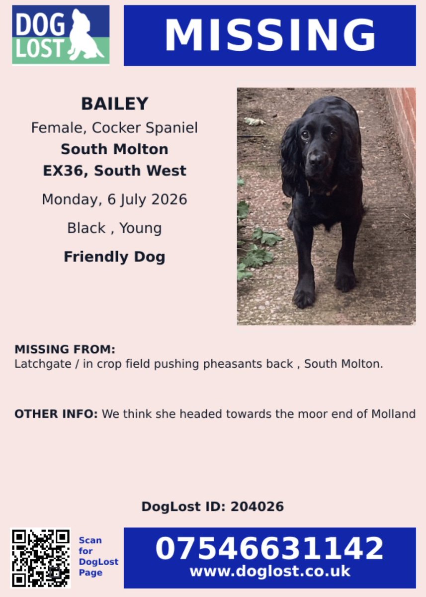 team_greenacres's tweet photo. ๐จ๐ฃ๐จMISSING SINCE 6TH JULY 2026 FROM SOUTH MOLTON, DEVON๐จ๐ฃ๐จ
๐Can you share to help #bringbaileyhome please๐
โผ๏ธ๐ฃShout out to anyone that has a thermal drone & could help to find Bailey in North Devon. If you can assist, please contact the number on the posterโผ๏ธ
๐ถBailey is a young, black female #cockerspaniel (microchipped)
https://t.co/PetAqg9Ymw
๐Missing from: Latchgate near #SouthMolton #Devon EX36
๐ Missing since: 6.7.26
โผ๏ธOwners think she headed towards the moor end of Mollandโผ๏ธ
๐ Please Call Numbers On Poster Below๐ If You See Bailey๐
#teamgreenacres #rescue #stolendoghour #k9hour #rehomehour #spanielhour #lostdog #missingdog #founddog #stolendog #teamzay