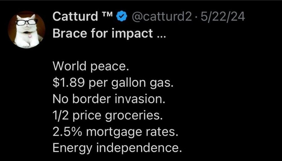 jbtrans2006's tweet photo. @catturd2 https://t.co/WxRpn55YpA