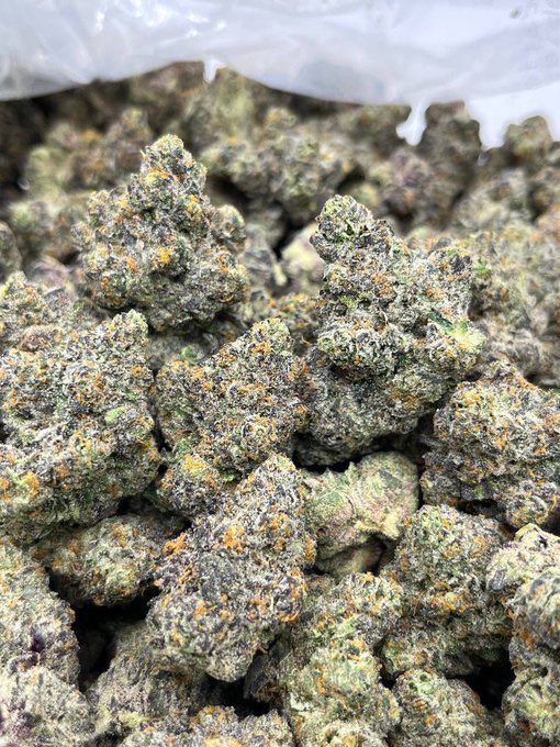 JoskyDs's tweet photo. Who's smoking tonight 👿
Weed las vegas weed henderson weed reno weed north las vegas weed sparks weed  mesquite weed ely weed yerington weed carlin weed lovelock weed wells weed battle mountain weed tonopah weed fallon https://t.co/U2WsFJPRe6