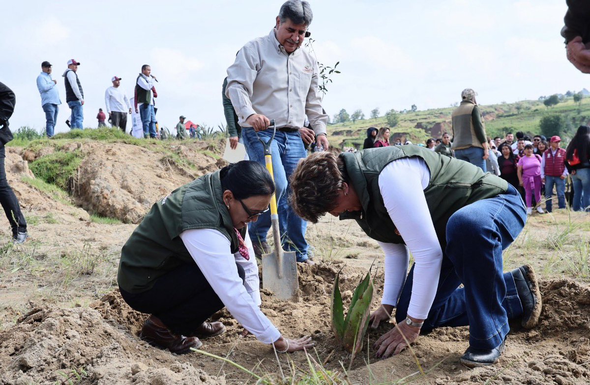 Hans2412's tweet photo. 🔴 ROSA ICELA RODRÍGUEZ SE SUMA A LA JORNADA NACIONAL DE REFORESTACIÓN EN EDOMEX

La secretaria de Gobernación, @rosaicela_ , participó este domingo junto con la gobernadora del Estado de México, Delfina Gómez, en la Jornada Nacional de Reforestación convocada por la Presidenta Claudia Sheinbaum. La funcionaria destacó la importancia de recuperar y proteger los ecosistemas y señaló que cada árbol plantado representa “vida, esperanza y futuro” para México.

#JornadaNacionalDeReforestación