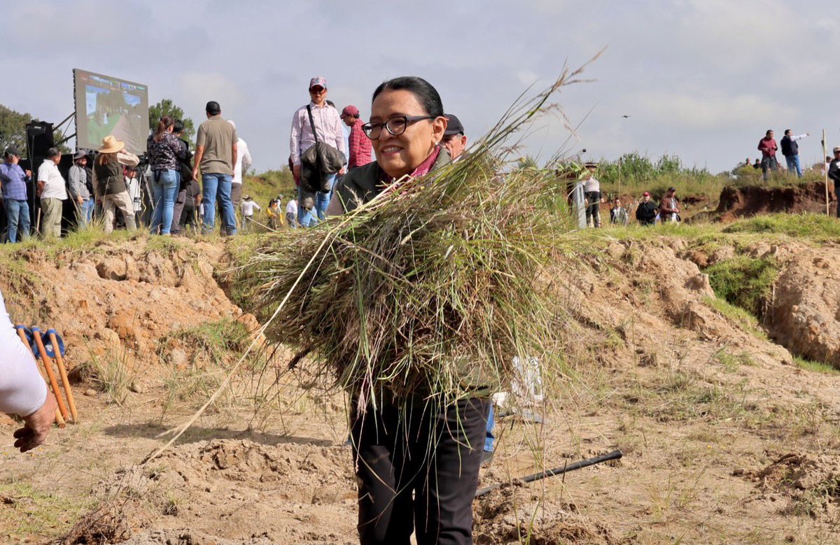Hans2412's tweet photo. 🔴 ROSA ICELA RODRÍGUEZ SE SUMA A LA JORNADA NACIONAL DE REFORESTACIÓN EN EDOMEX

La secretaria de Gobernación, @rosaicela_ , participó este domingo junto con la gobernadora del Estado de México, Delfina Gómez, en la Jornada Nacional de Reforestación convocada por la Presidenta Claudia Sheinbaum. La funcionaria destacó la importancia de recuperar y proteger los ecosistemas y señaló que cada árbol plantado representa “vida, esperanza y futuro” para México.

#JornadaNacionalDeReforestación