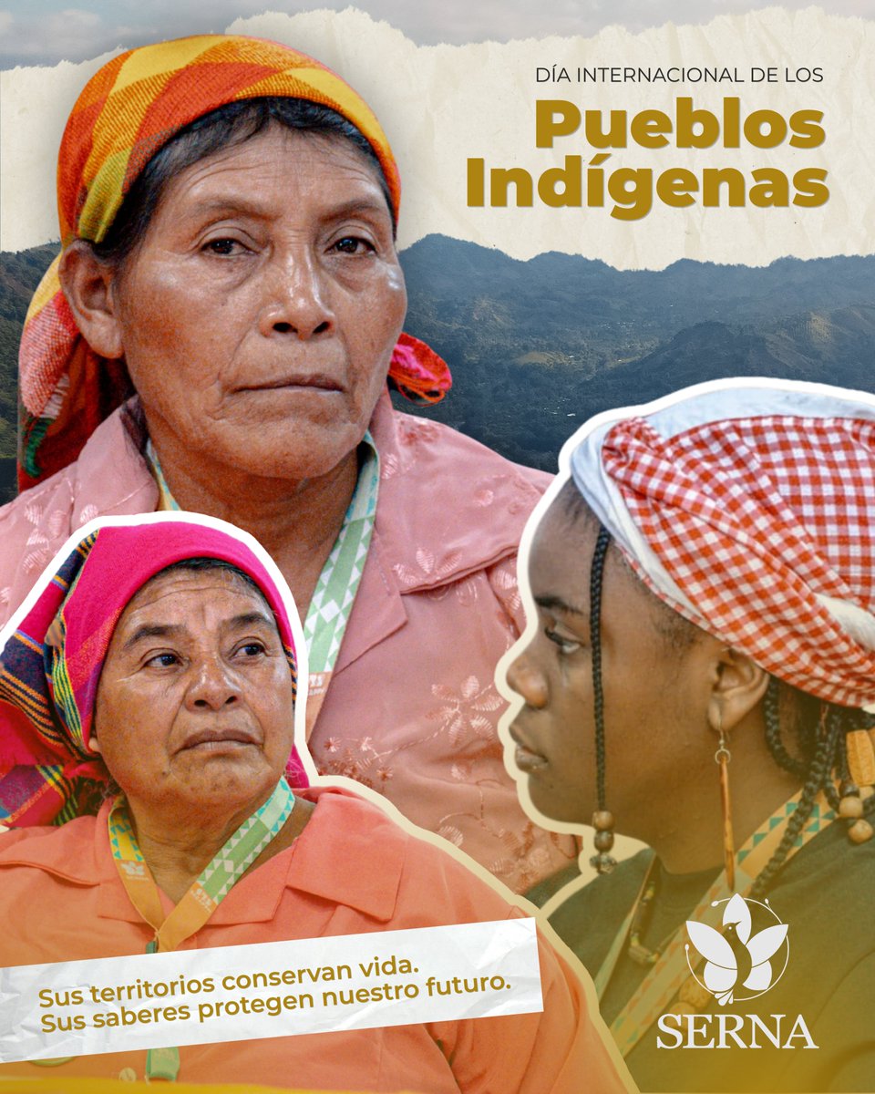 sernaHN's tweet photo. Día Internacional de los Pueblos Indígenas

En Honduras, los pueblos indígenas y afrodescendientes son guardianes de territorios, ecosistemas y conocimientos ancestrales que contribuyen a la protección de nuestra biodiversidad y nuestros recursos naturales.

Desde SERNA reafirmamos nuestro compromiso de trabajar junto a los pueblos originarios para fortalecer su adaptación al cambio climático, sus medios de vida y la resiliencia de sus comunidades.

Reconocer sus saberes es también proteger nuestro futuro. 🌎