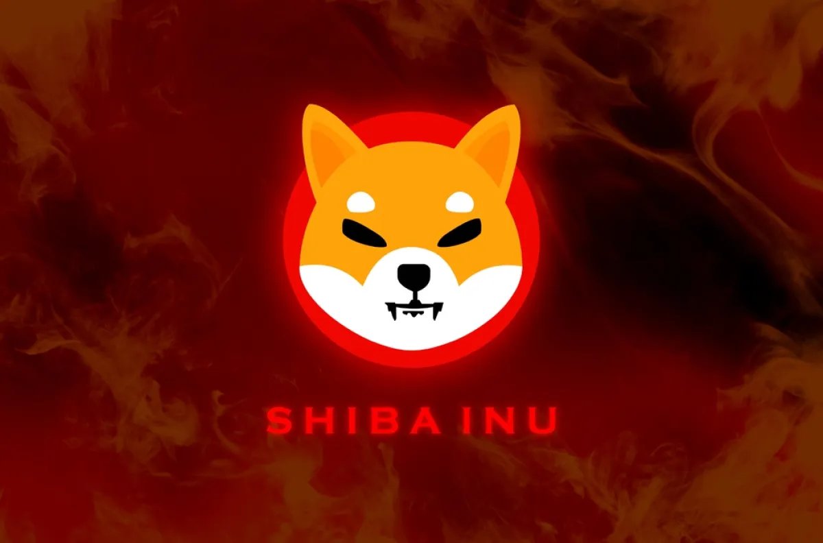 SHIBMortal's tweet photo. New $SHIB reality: 87.5 trillion tokens on exchanges.

• Reserves down slightly
• Netflow negative (-159B in 24h)
• Network activity holding up

But the absolute supply on CEXs is still massive. That’s why rallies keep dying.

The market has spoken — this is the new normal until that number drops hard.
 https://t.co/HPz74m4gpc