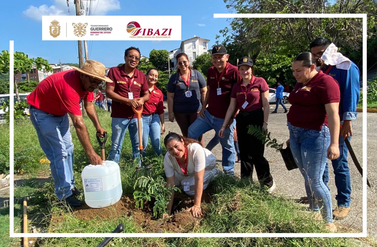 FIBAZI2024's tweet photo. El Fideicomiso Bahía de Zihuatanejo (FIBAZI), que dirige la licenciada Marcia Elsa Valencia Guzmán, respalda la Jornada Nacional de Reforestación que es iniciativa de la Presidenta de la República, Claudia Sheinbaum Pardo. https://t.co/JIsjUAxcmz