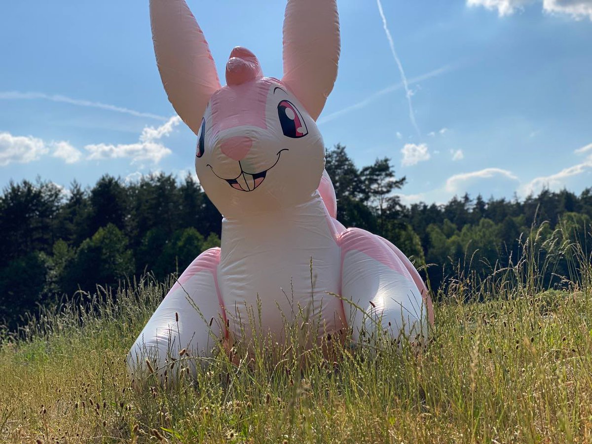 FerionFox tweet picture