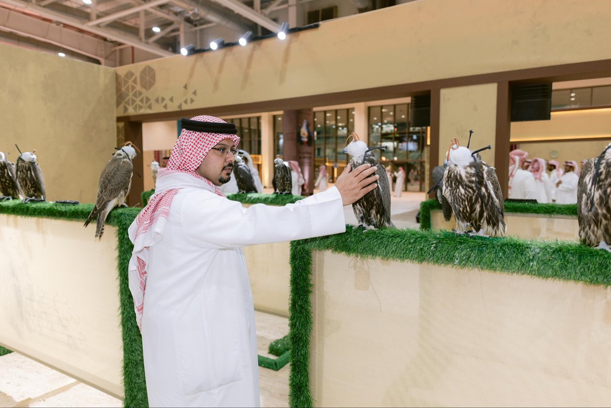 reccksa's tweet photo. نخبة من الصقور تجمع المربين والمهتمين في المزاد الدولي لمزارع إنتاج الصقور داخل مركز الرياض للمعارض والمؤتمرات

Leading falcons bring breeders and enthusiasts together at the International Falcon Breeders Auction at Riyadh Exhibition & Convention Center

#مركز_الرياض_للمعارض_والمؤتمرات #مزاد_الصقور #RECC #FalconAuction