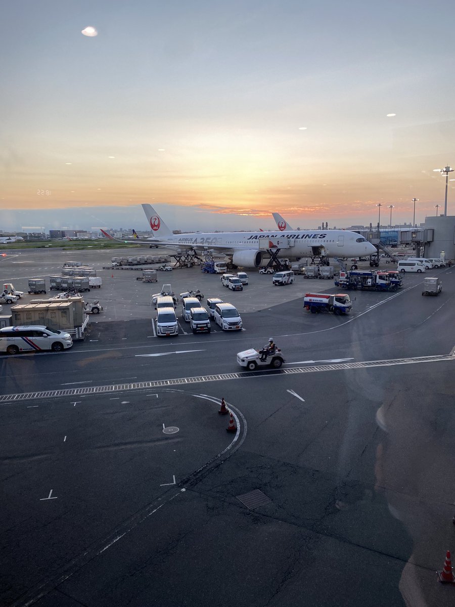 mochi2136's tweet photo. 一時帰国2週間夏休みあざした🌻
恋警護2ゆっくり観直せたの良かった◎
来月までドタバタ劇場乗り越えるぞ~ https://t.co/3lKlsS4rSy