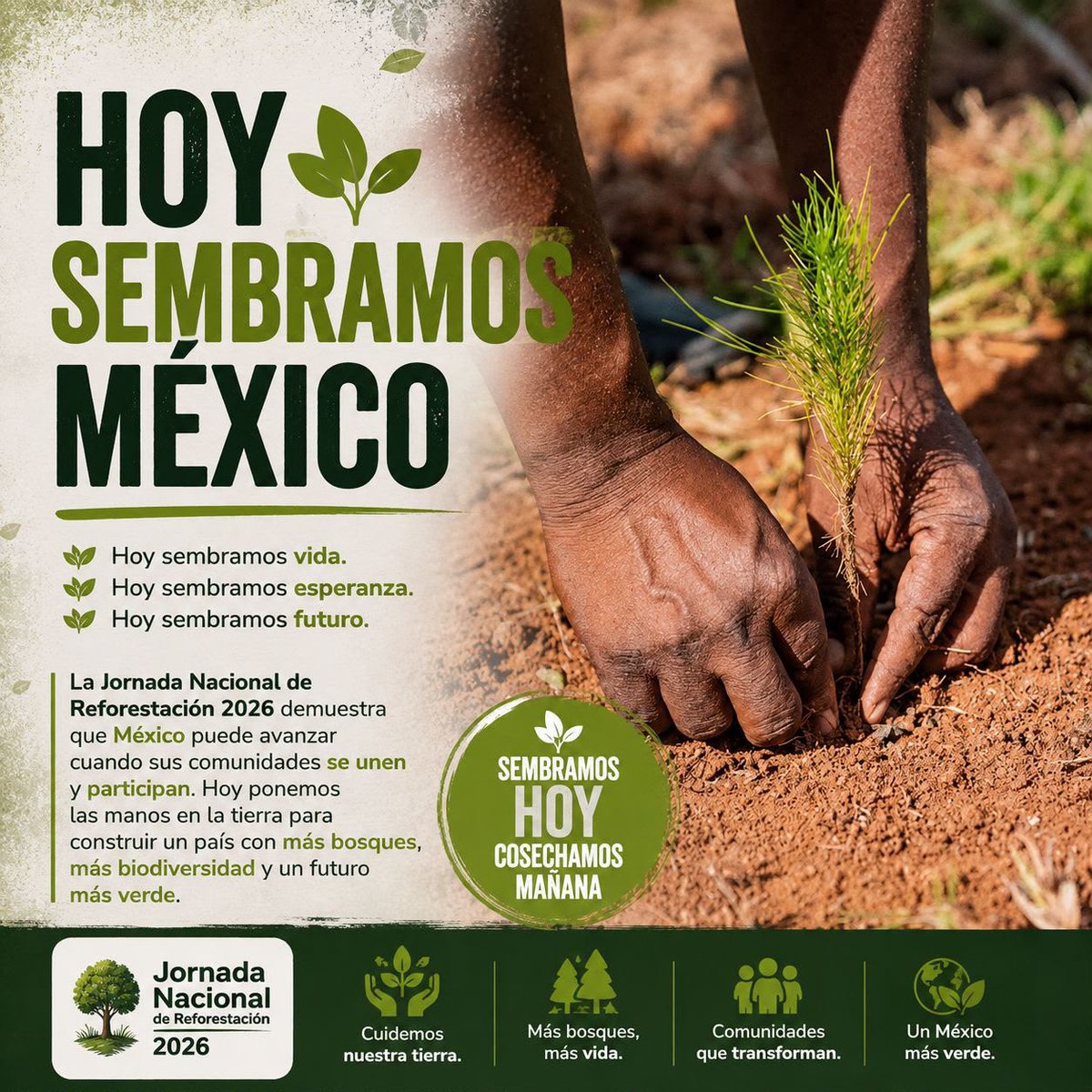 Raquelirenecm's tweet photo. 🌱 La #JornadaNacionalDeReforestación fortalece el compromiso de México con el cuidado del medio ambiente y la construcción de un futuro más sustentable. https://t.co/t731wwX3uF