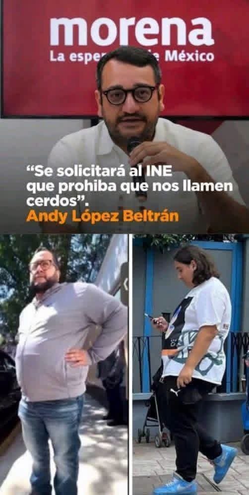 popotla11400's tweet photo. Cochinos, marranos, puercos, pero nunca; CERDOS. https://t.co/utVSXNwsvx