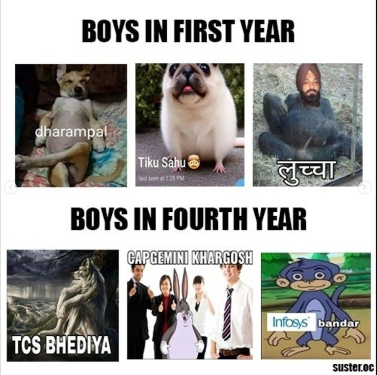 iamShivanshT's tweet photo. tcs bhediya incoming? https://t.co/U9dUIxr4pc