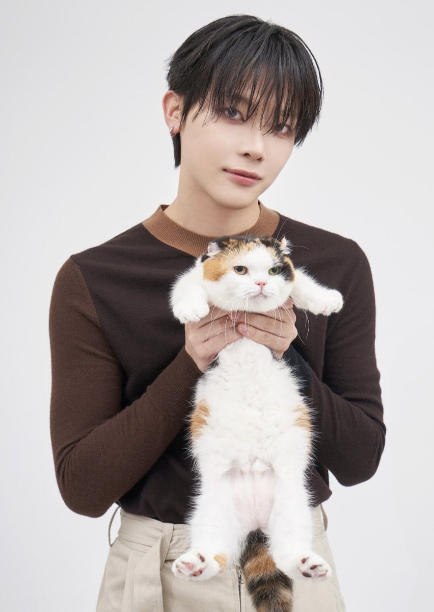 wenofied's tweet photo. this photoshoot is everything to me i'm #healed ❤️‍🩹 https://t.co/Mt5U2nPEOL