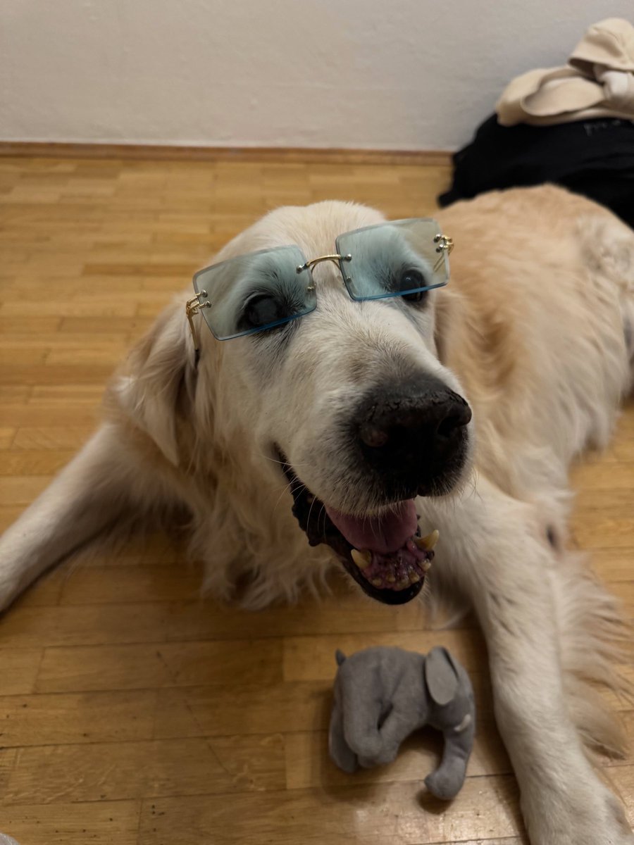Lucy_1YY's tweet photo. Remember to show some love to your dog, it's also a member of our family https://t.co/tuJESFfIAf