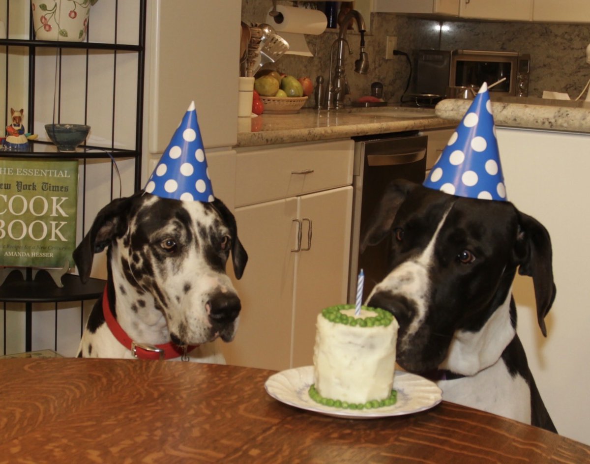 2DaneLove's tweet photo. @JohnLeePettim13 Happy Birthday 🥳 https://t.co/oTfDWn3Bay